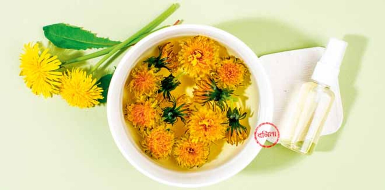 skin-toner Dandelions (Taraxacum) in a bowl with boiling water and spray bottle with face toner. Home made beauty product. DIY soothing dandelion facial toner recipe. Natural beauty treatment. Top view.