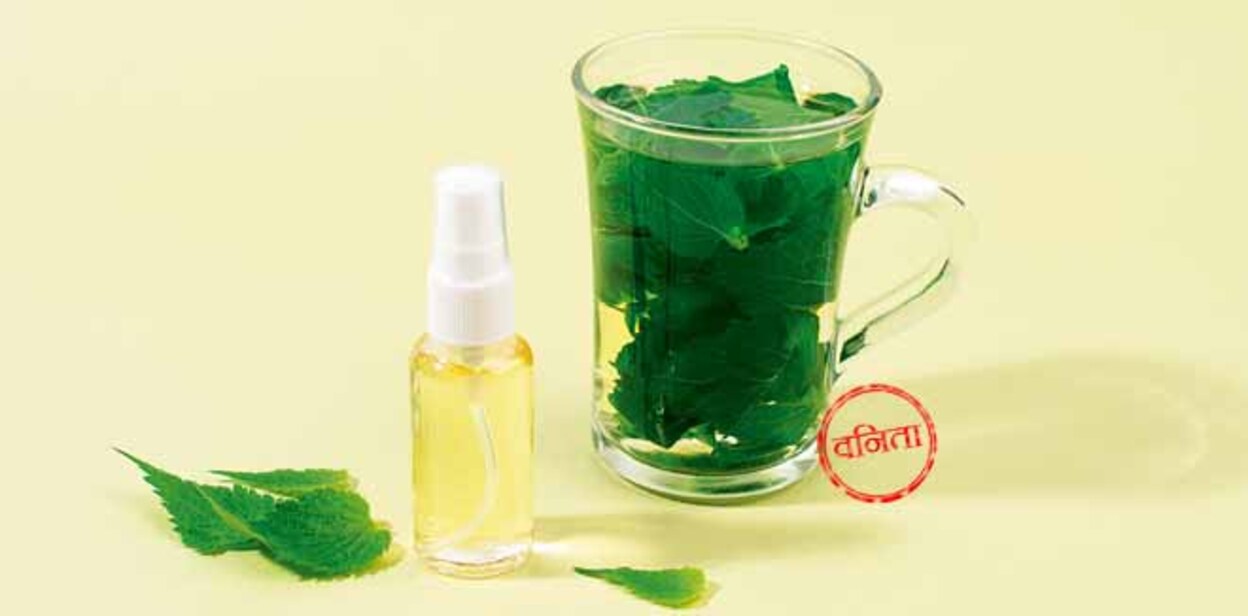 toner-1 Nettle (Urtica Dioica) infusion for face and hair toner. Home made beauty product. DIY nettle cosmetics recipe. Natural beauty treatment and spa.