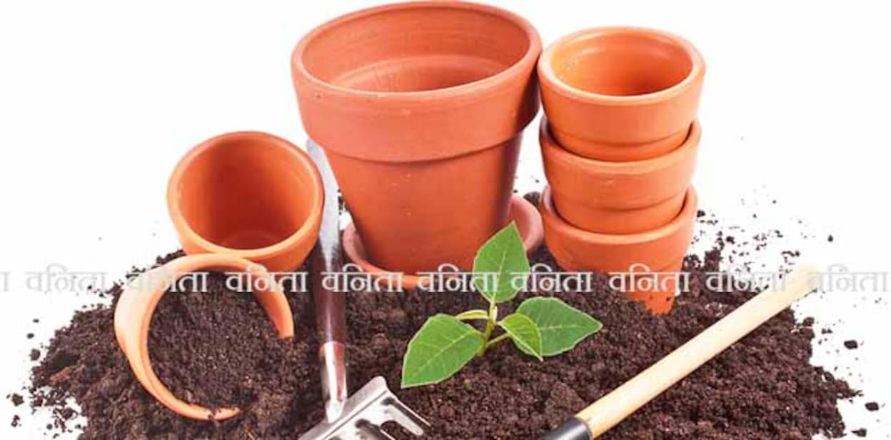 gardening tools and seedling in soil surface  isolated on a white background