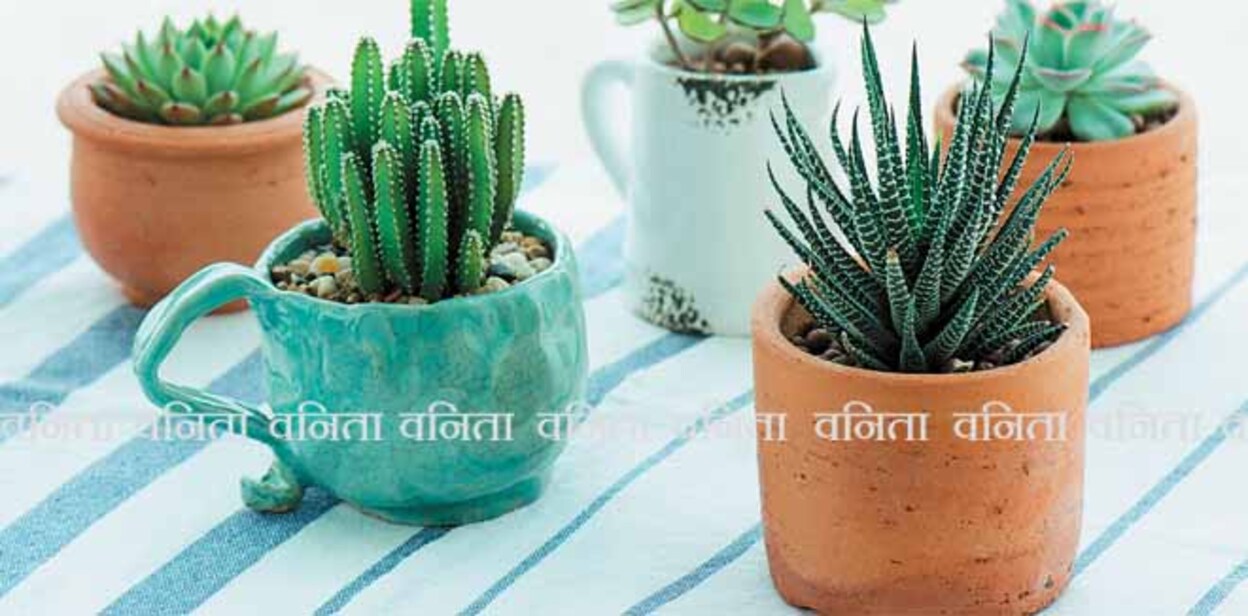 plant-1