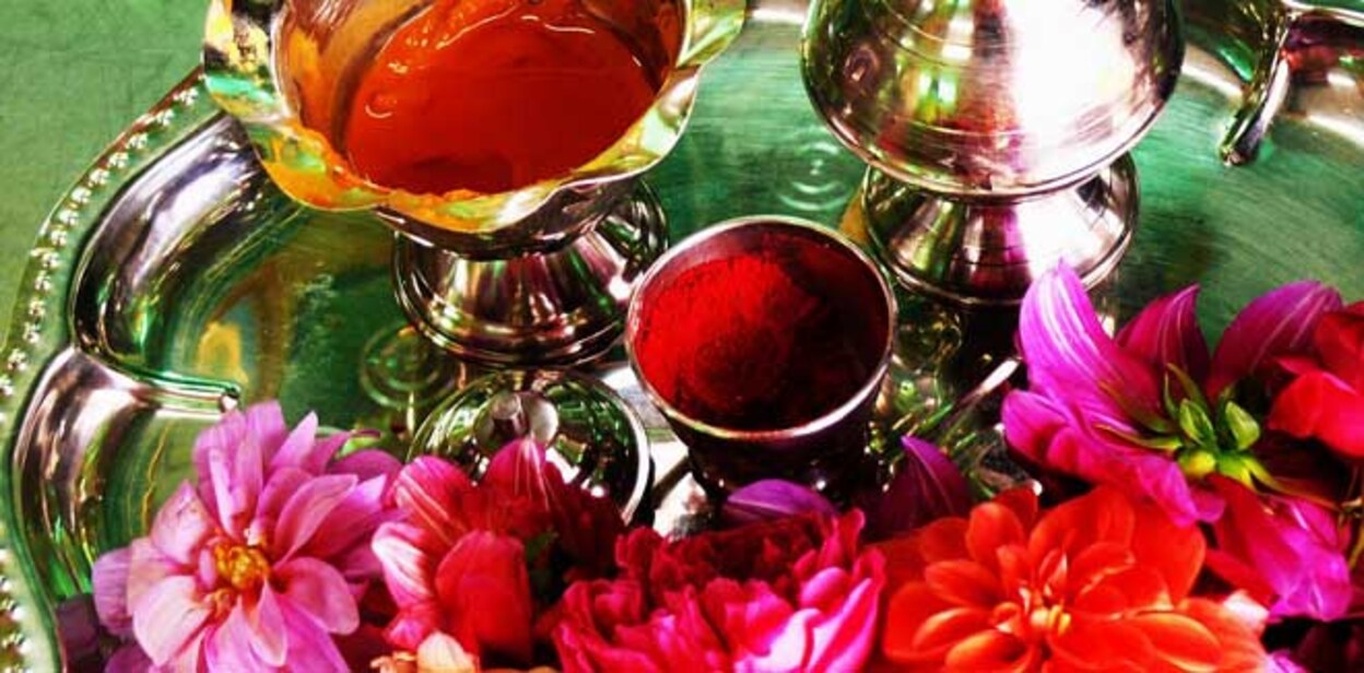 devshayani