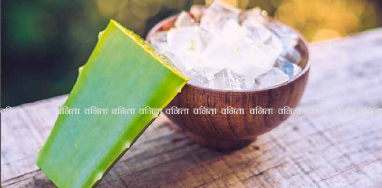 Aloe vera and aloe cubes in a wooden bowl. Aloe Vera gel almost use in food, medicine and beauty industry