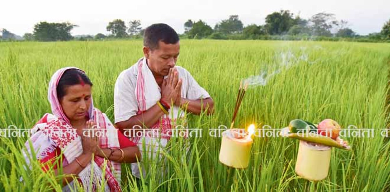 Farmer offer prayer and light lamp at agriculture field for good harvesting  during the celebration of Kati Bihu at Uttar Para village  in Baksa district of Assam India on Tuesday 18th October 2022.