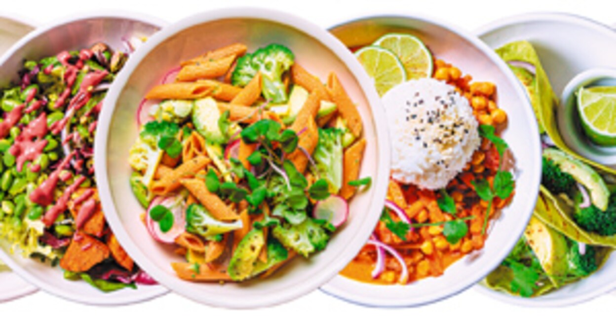 Banner of vegan lunch bowls isolated on white background. Healthy plant based food concept. Vegetarian pasta, curry with rice, salad, tortillas and baked vegetables.