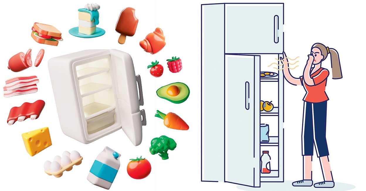 fridge