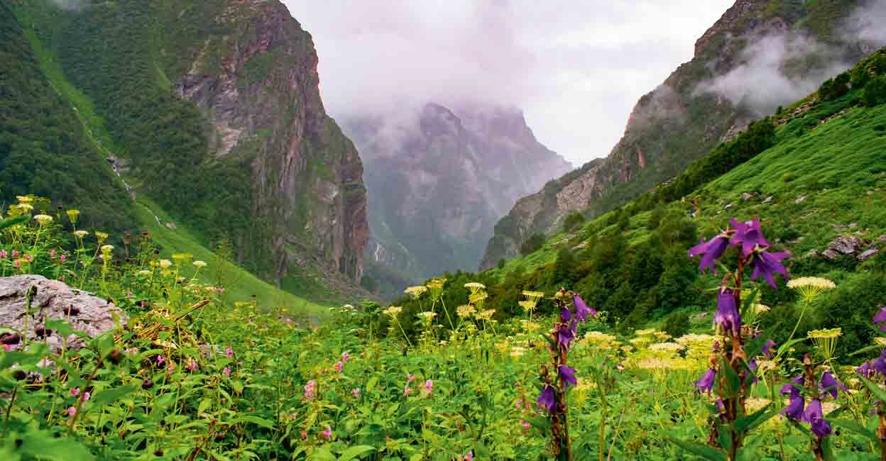 Valley of flowers, trek destination in the chamoli district of Uttarakhand, India during monsoon. Hemkund Sahib Gurudwar is the highest Gurudwar in India situated here.