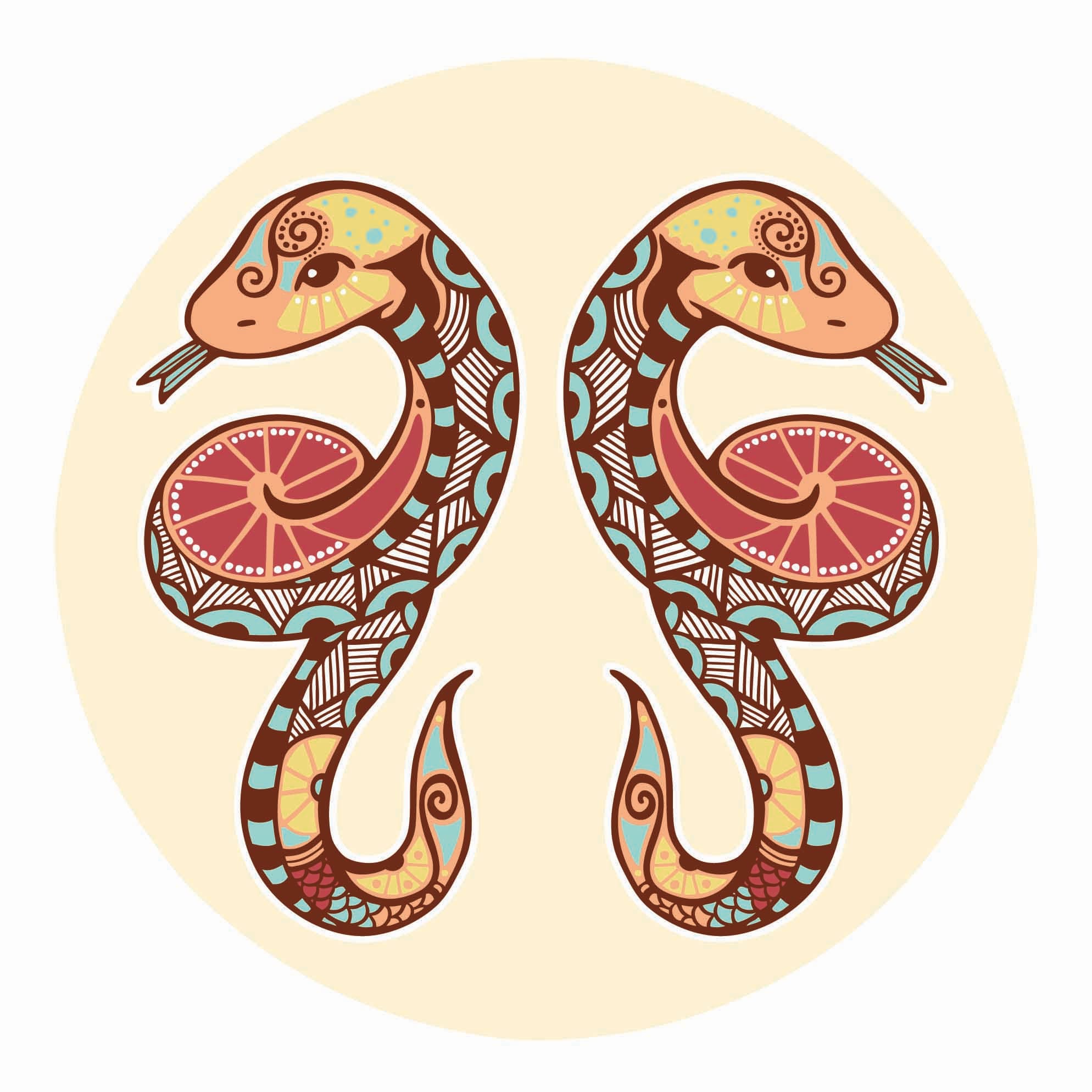 Gemini