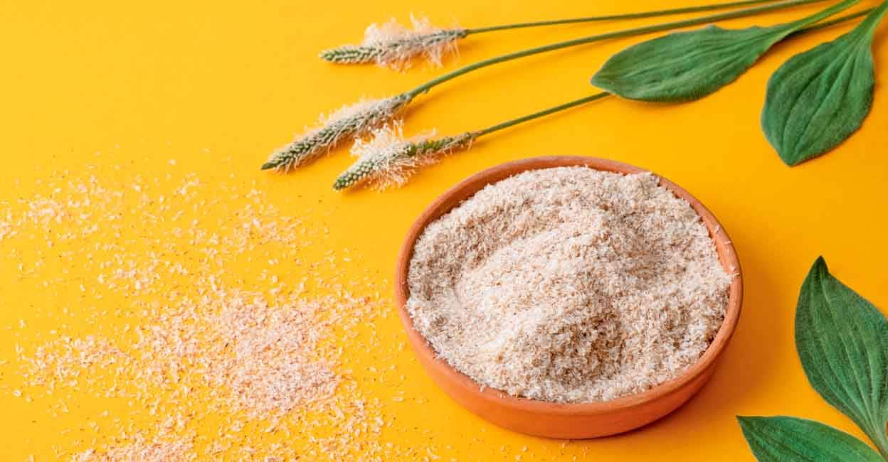 पूरे विश्व में वेलनेस प्रोडक्ट के रूप में मशहूर हो रहा है ईसबगोल 