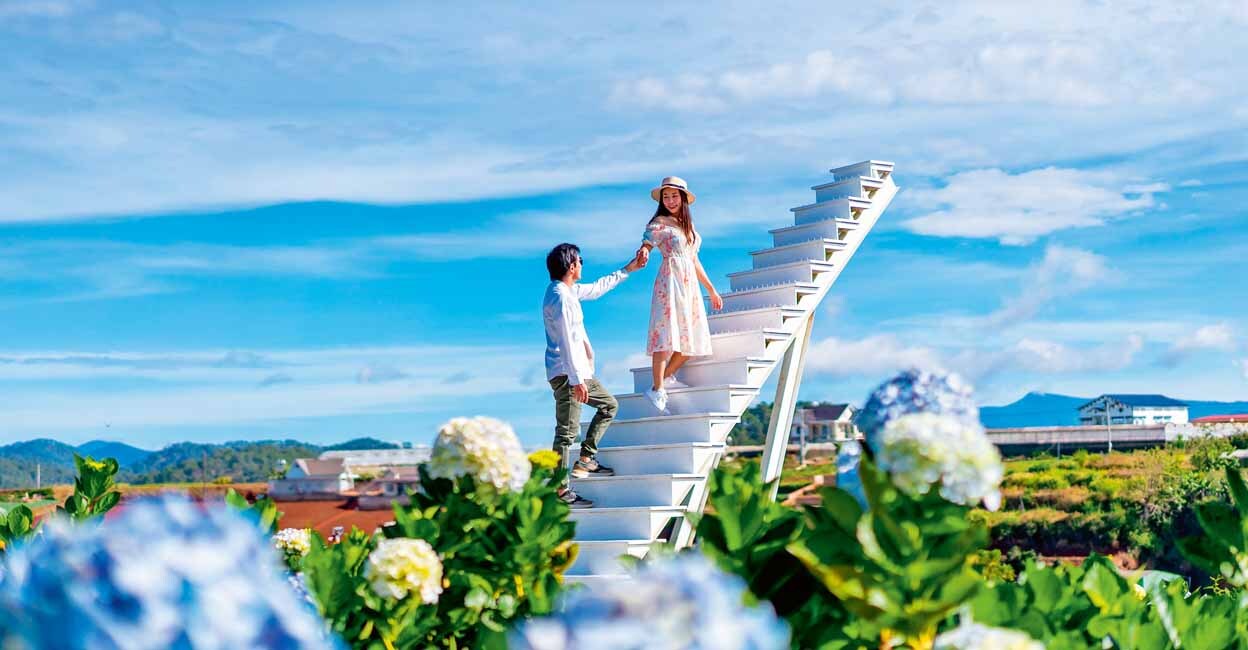 Young couple traveler enjoying with blooming hydrangeas garden in Dalat, Vietnam, Travel lifestyle concept